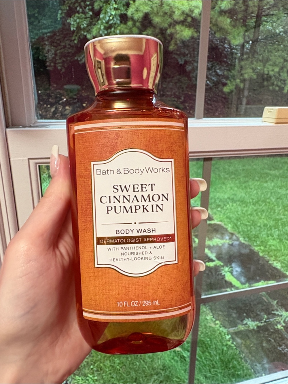 Bath & Body Works Sweet Cinnamon Pumpkin Body Wash NWT